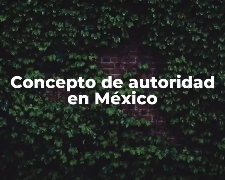 Concepto de autoridad en México