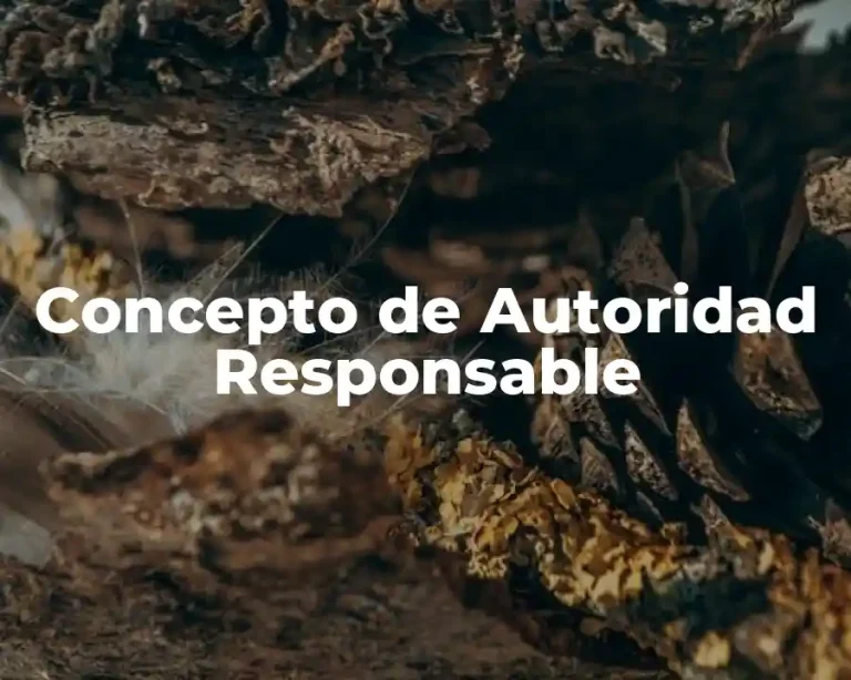 Concepto de Autoridad Responsable