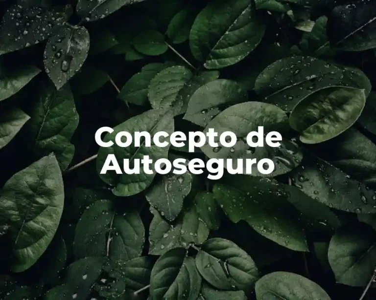 Concepto de Autoseguro