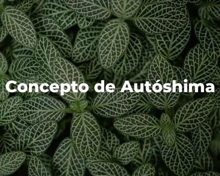 Concepto de Autóshima