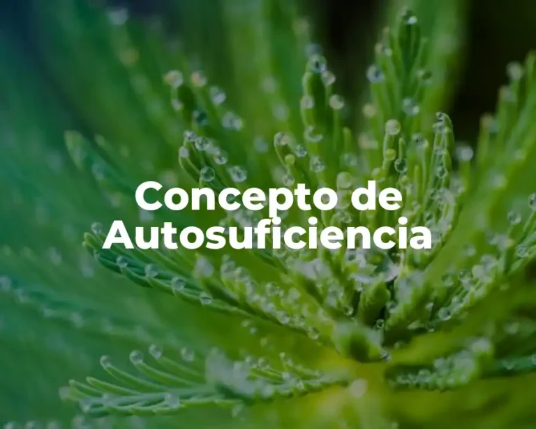Concepto de Autosuficiencia