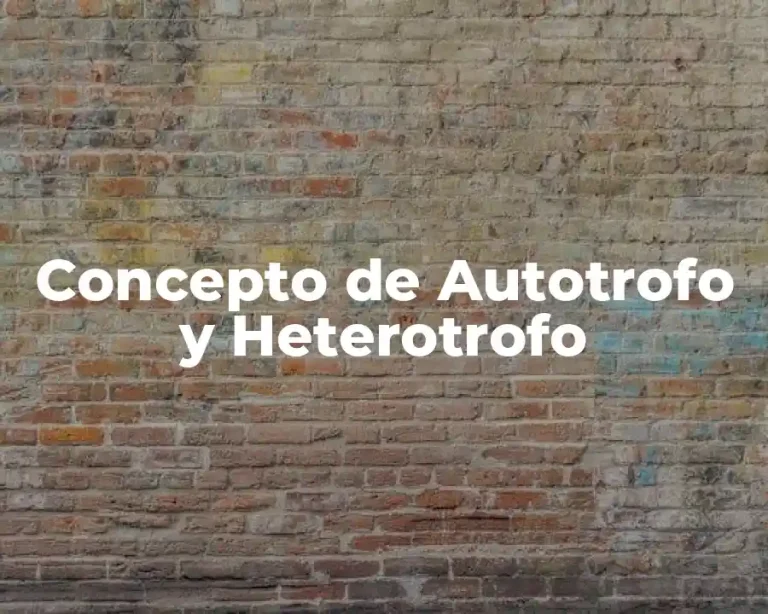 Concepto de Autotrofo y Heterotrofo