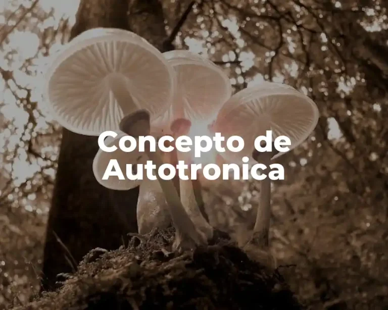 Concepto de Autotronica