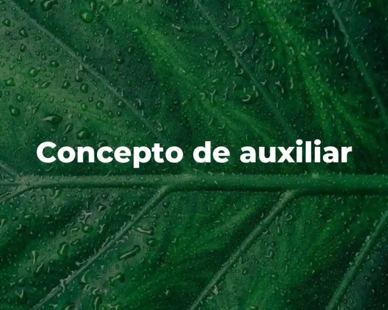 Concepto de auxiliar
