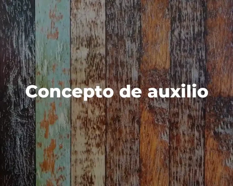 Concepto de auxilio