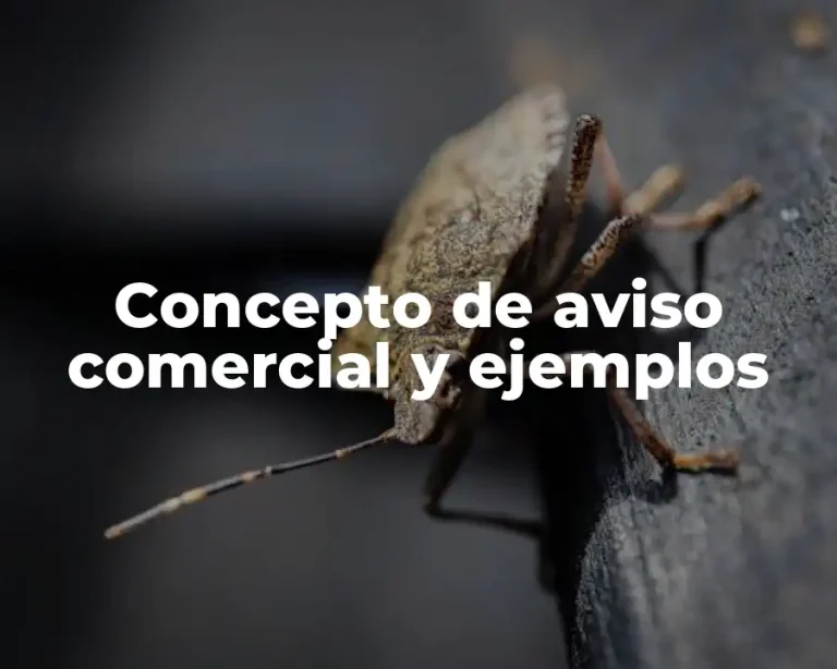 Concepto de aviso comercial y ejemplos