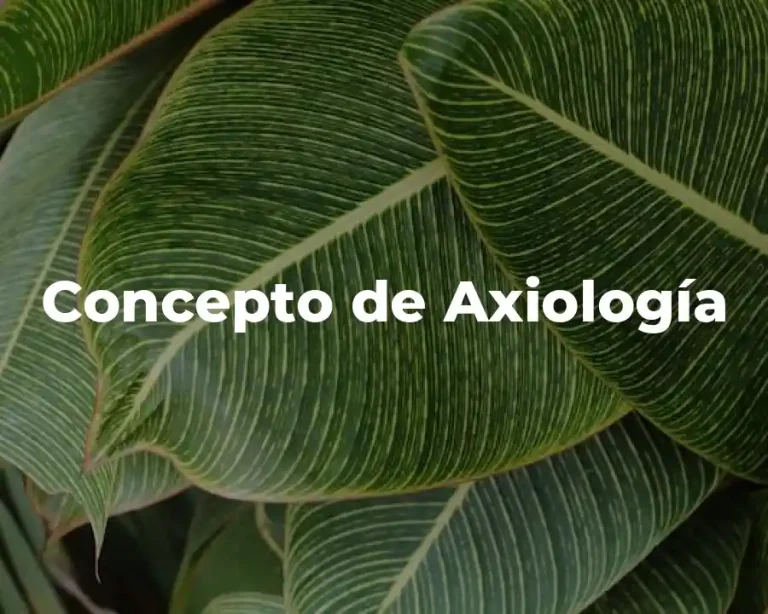 Concepto de Axiología