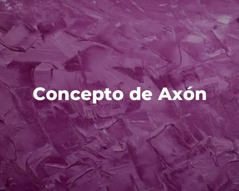 Concepto de Axón