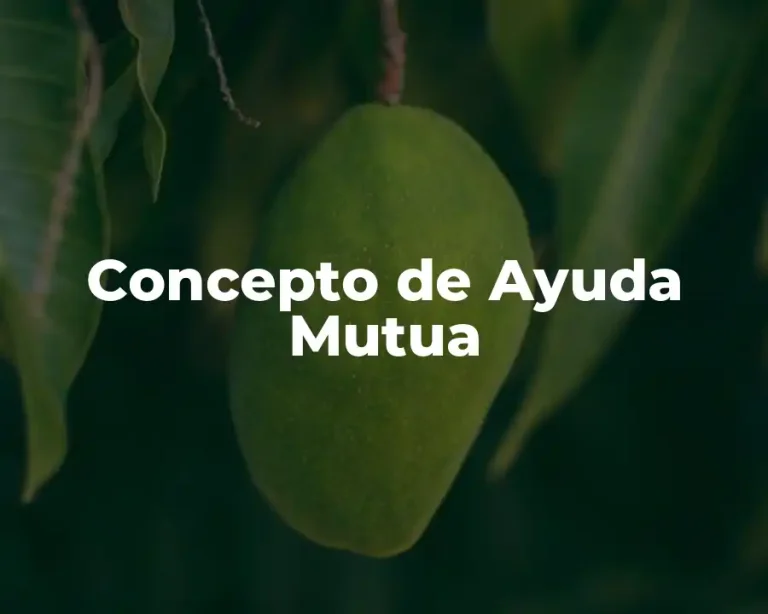 Concepto de Ayuda Mutua