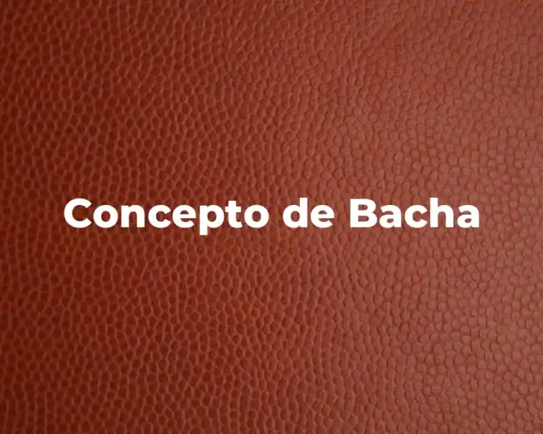 Concepto de Bacha