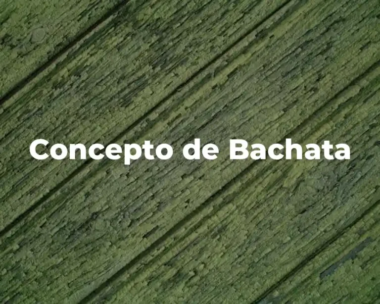 Concepto de Bachata