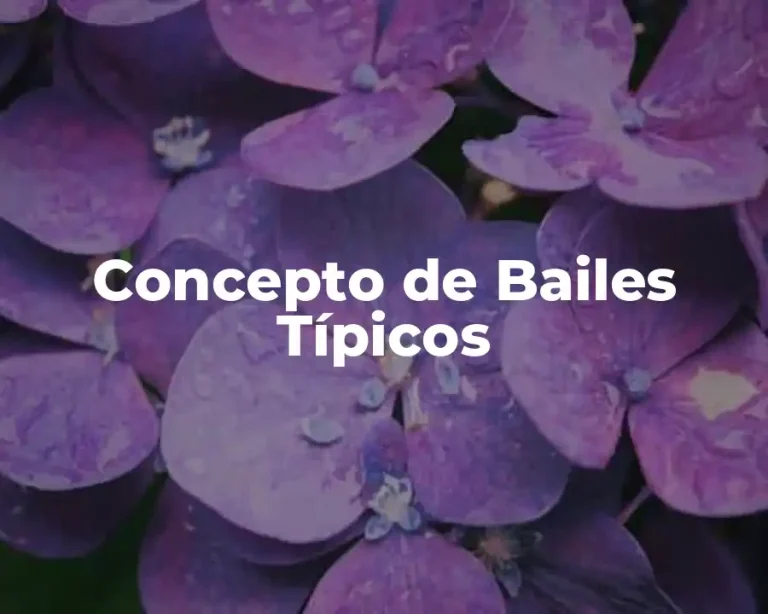 Concepto de Bailes Típicos