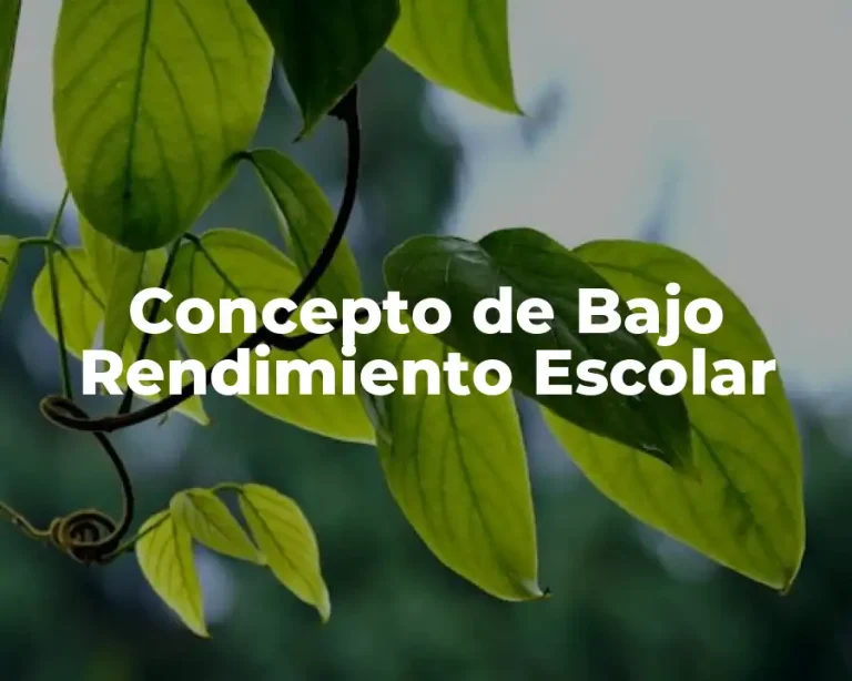 Concepto de Bajo Rendimiento Escolar