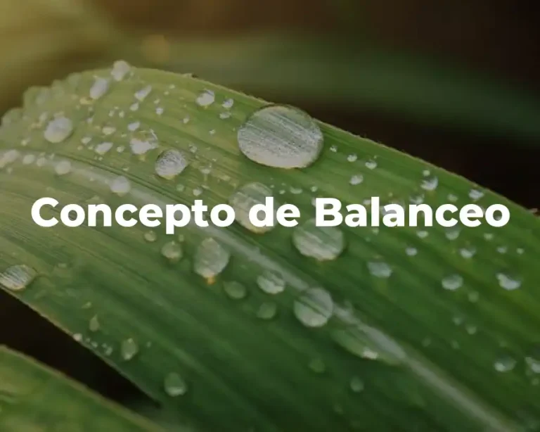 Concepto de Balanceo