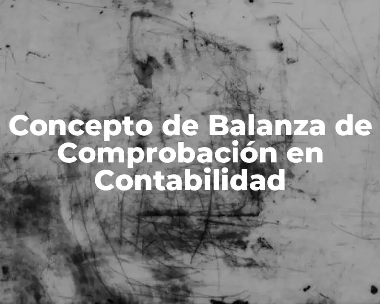Concepto de Balanza de Comprobación en Contabilidad