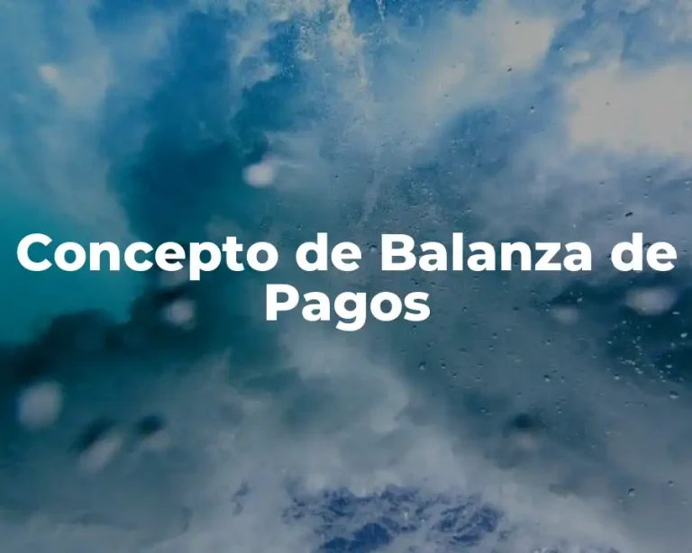 Concepto de Balanza de Pagos