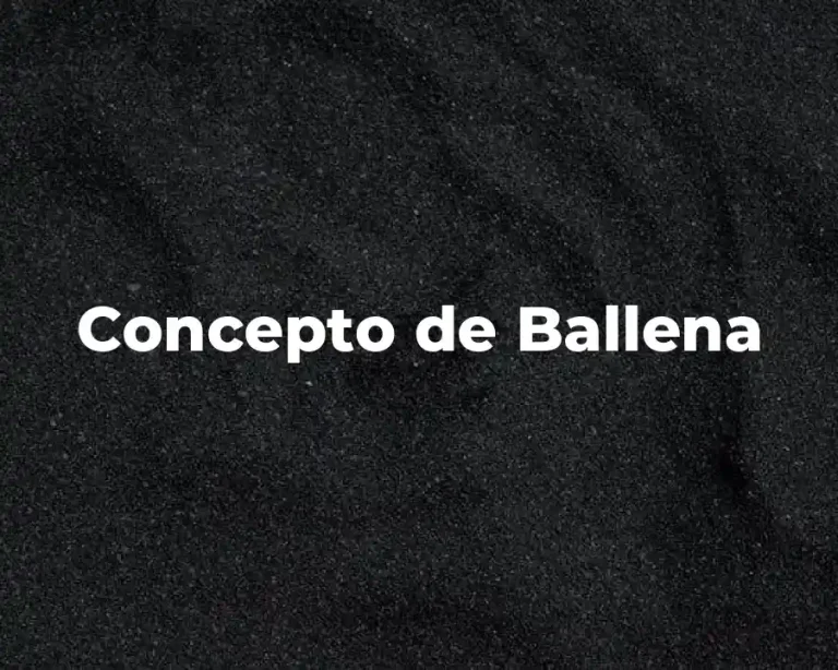 Concepto de Ballena