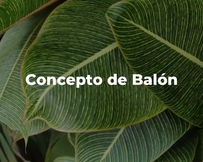 Concepto de Balón