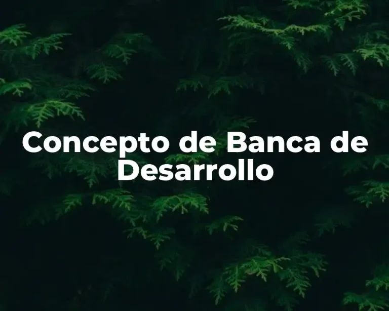 Concepto de Banca de Desarrollo