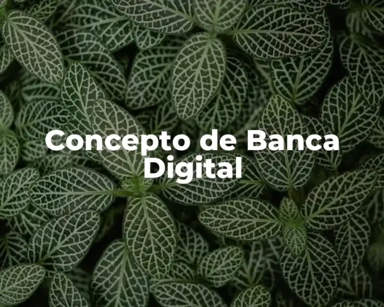 Concepto de Banca Digital