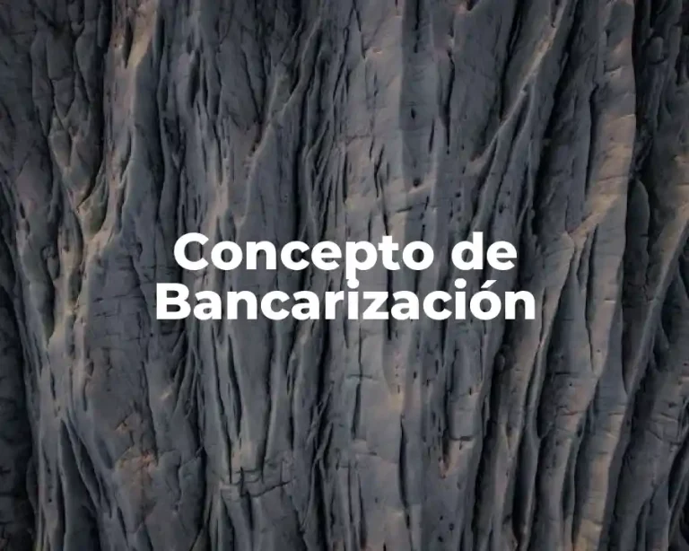 Concepto de Bancarización