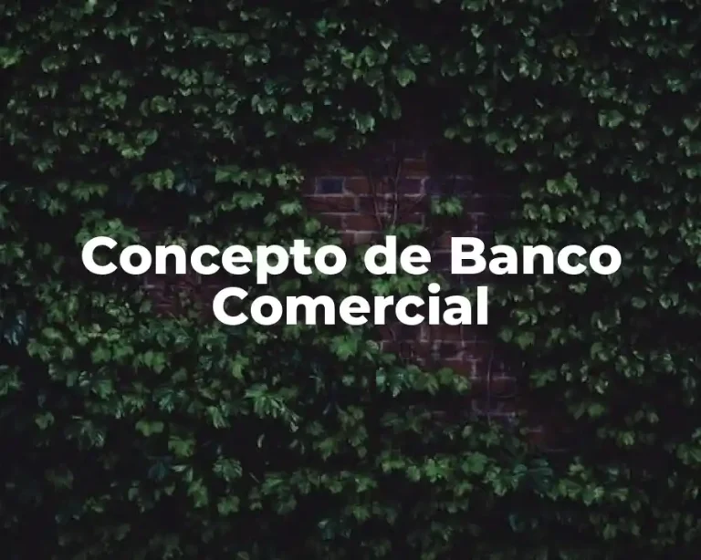 Concepto de Banco Comercial