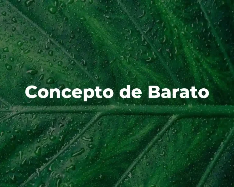 Concepto de Barato