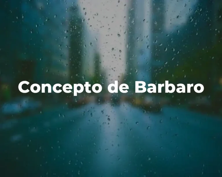 Concepto de Barbaro