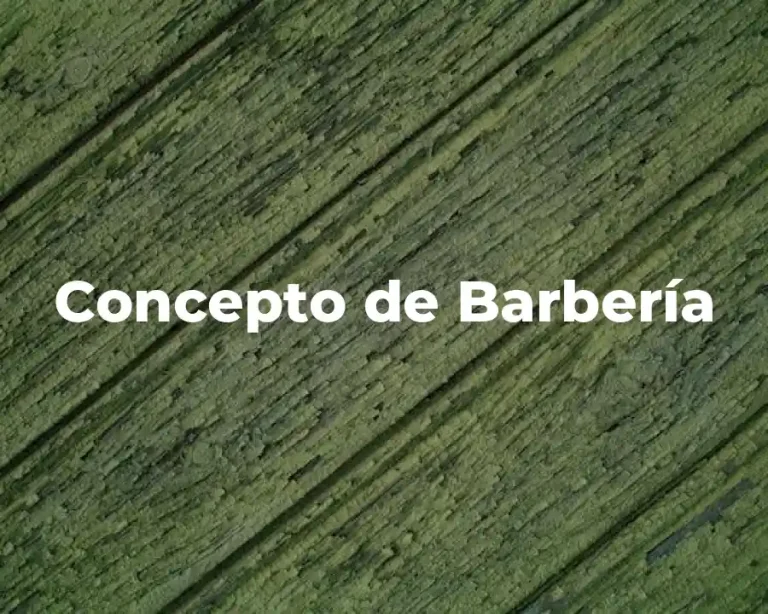 Concepto de Barbería