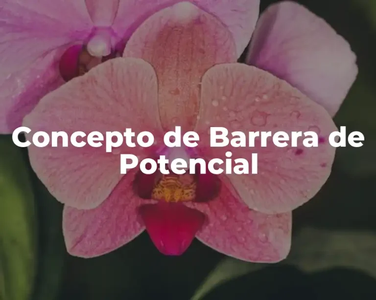 Concepto de Barrera de Potencial