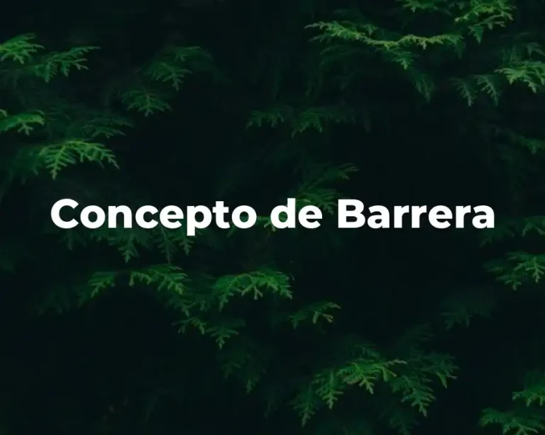 Concepto de Barrera