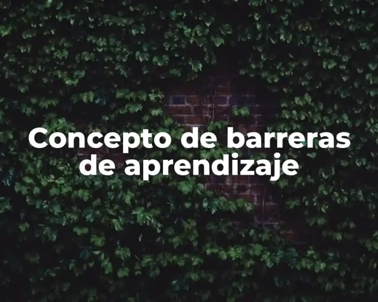Concepto de barreras de aprendizaje