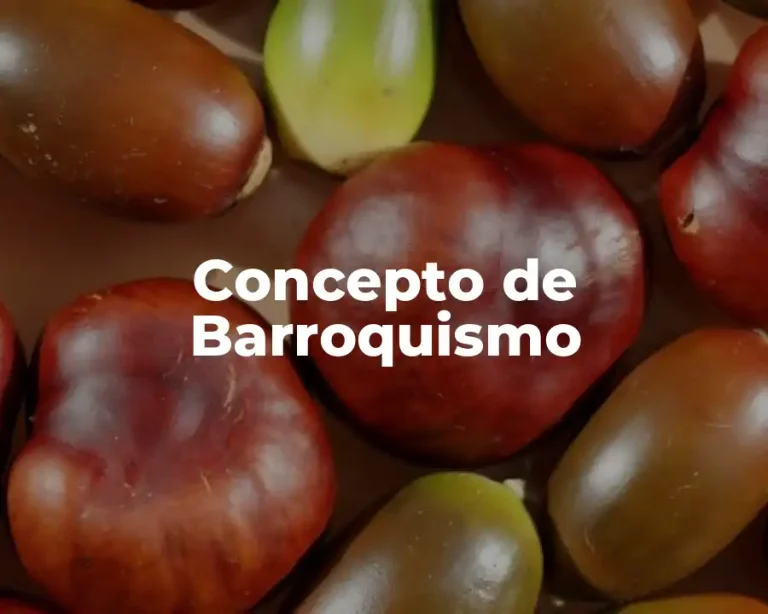 Concepto de Barroquismo