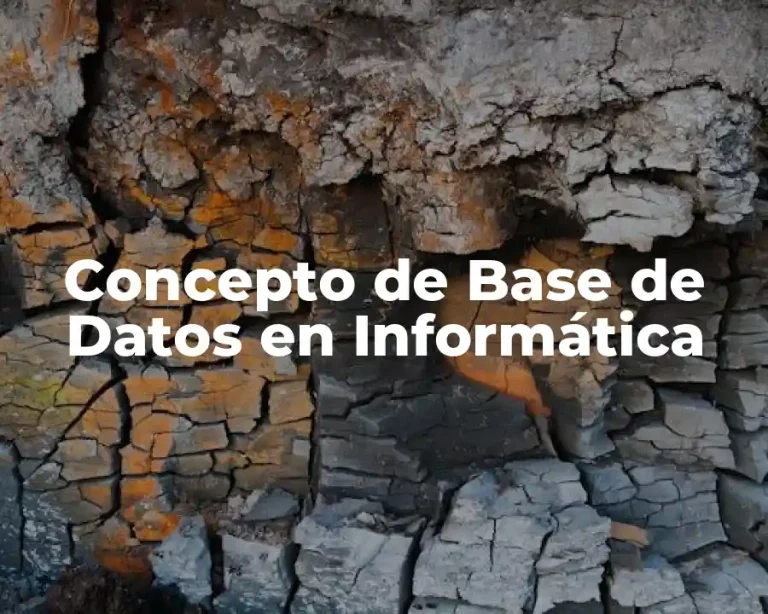 Concepto de Base de Datos en Informática