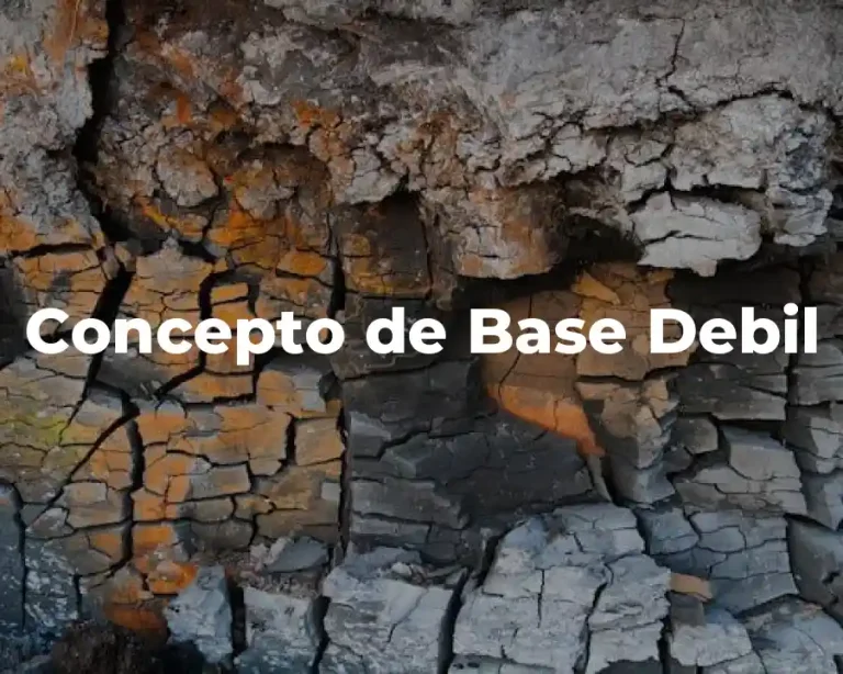 Concepto de Base Debil