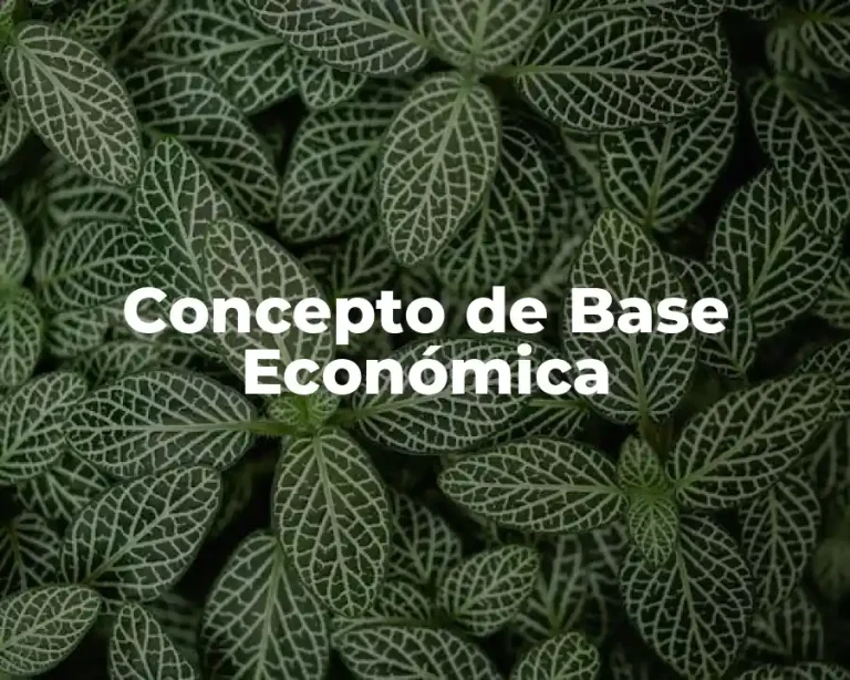 Concepto de Base Económica