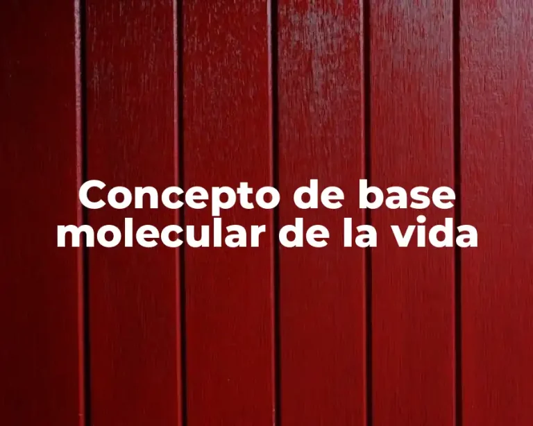 Concepto de base molecular de la vida