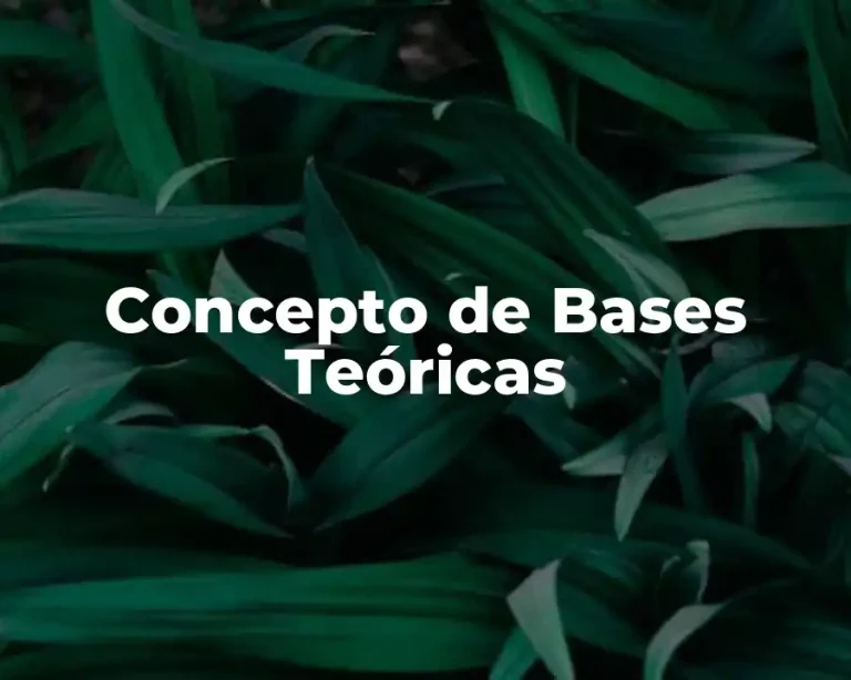 Concepto de Bases Teóricas