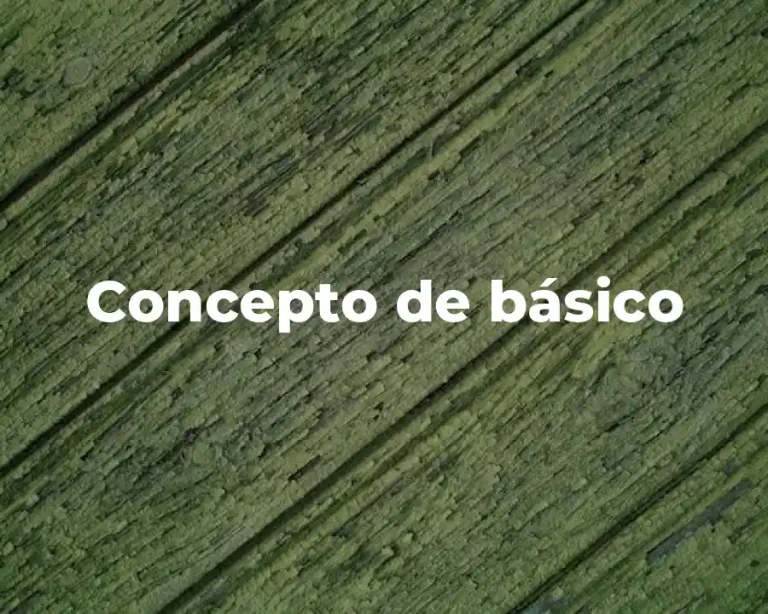 Concepto de básico