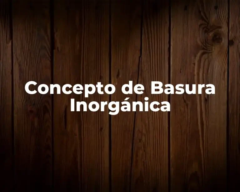 Concepto de Basura Inorgánica