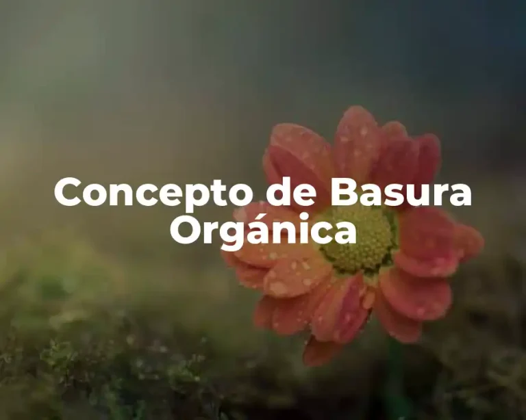 Concepto de Basura Orgánica