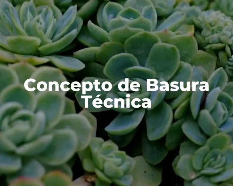 Concepto de Basura Técnica