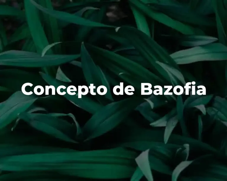 Concepto de Bazofia