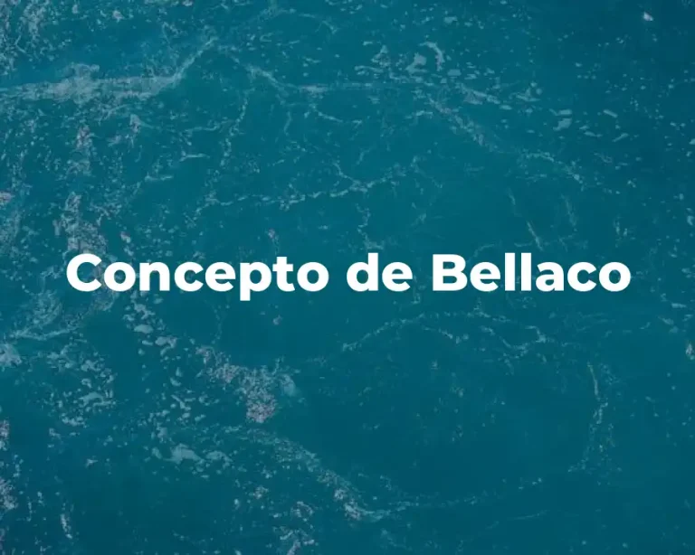 Concepto de Bellaco