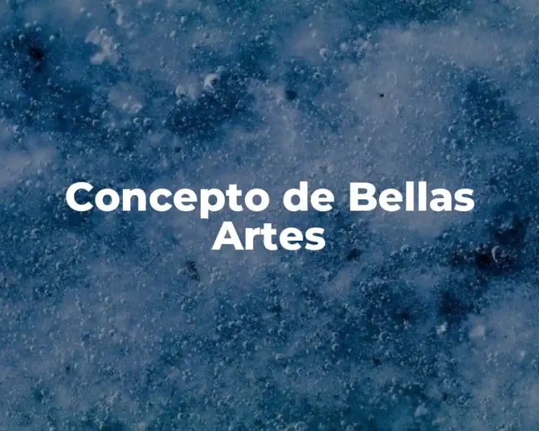 Concepto de Bellas Artes