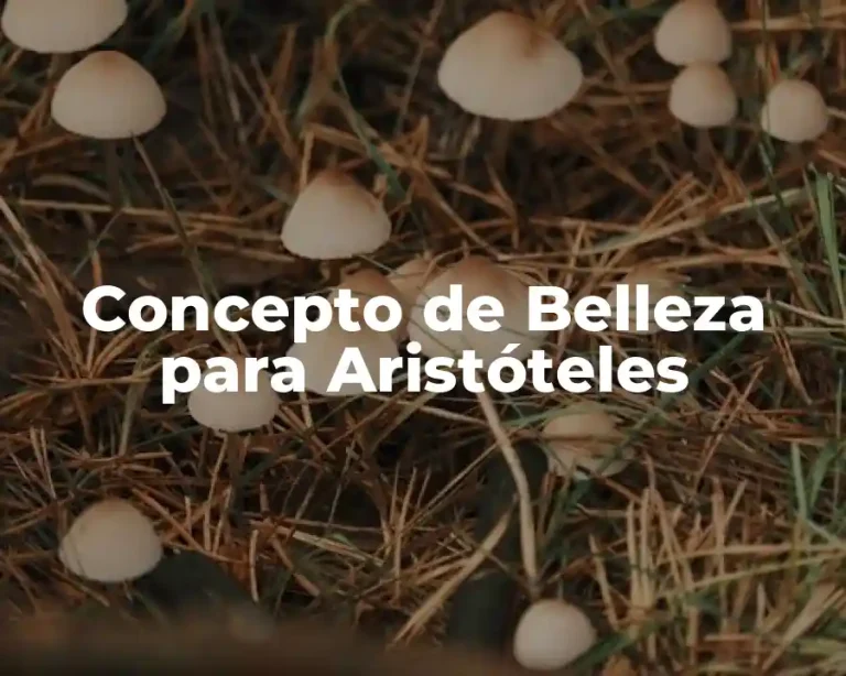 Concepto de Belleza para Aristóteles