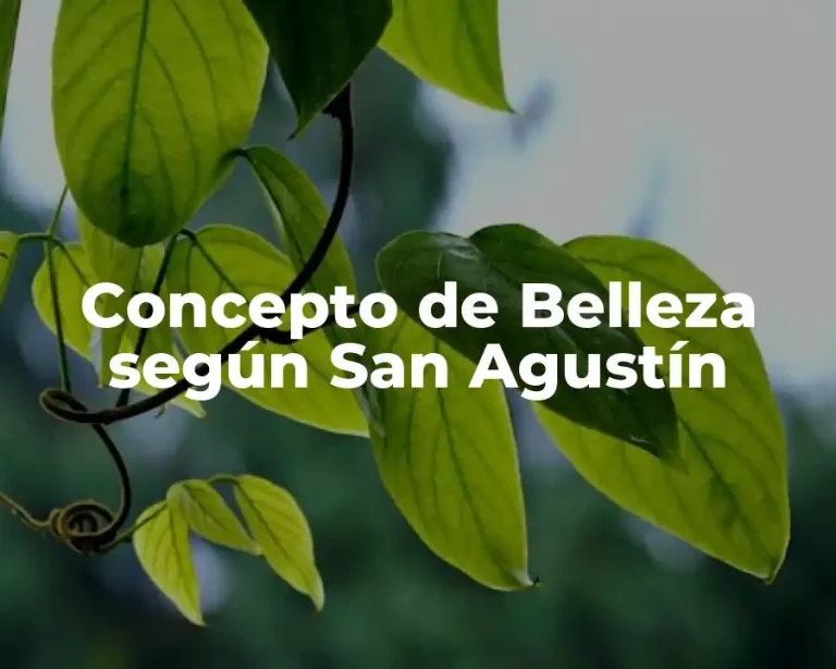 Concepto de Belleza según San Agustín