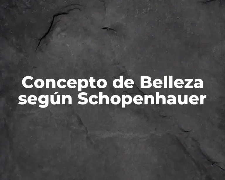 Concepto de Belleza según Schopenhauer
