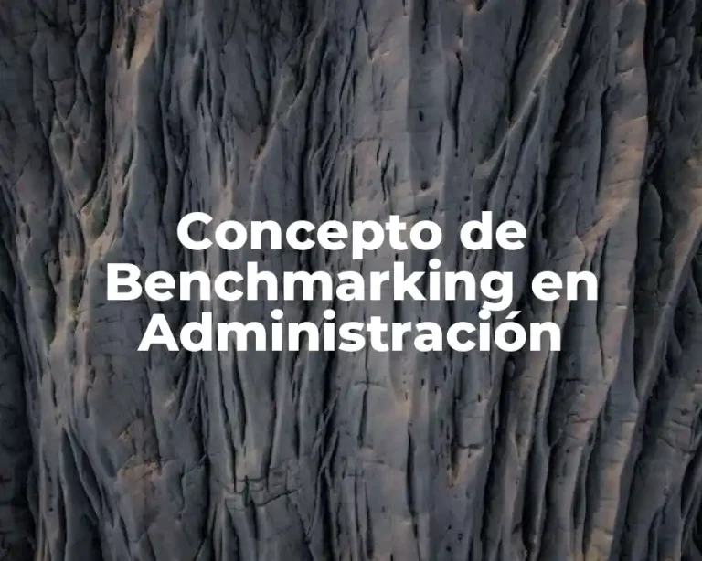 Concepto de Benchmarking en Administración