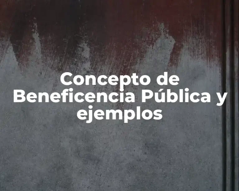 Concepto de Beneficencia Pública y ejemplos